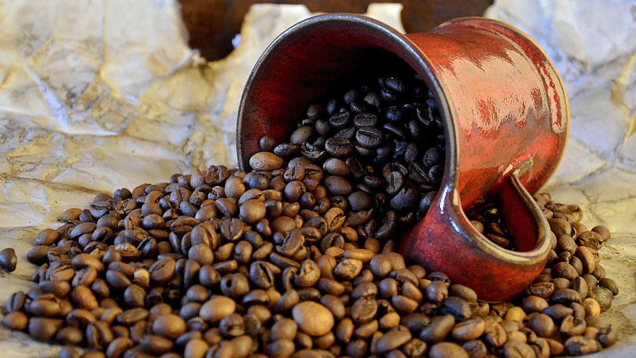 hasil biji lebih seragam setelah dikupas mesin