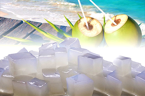 nata de coco