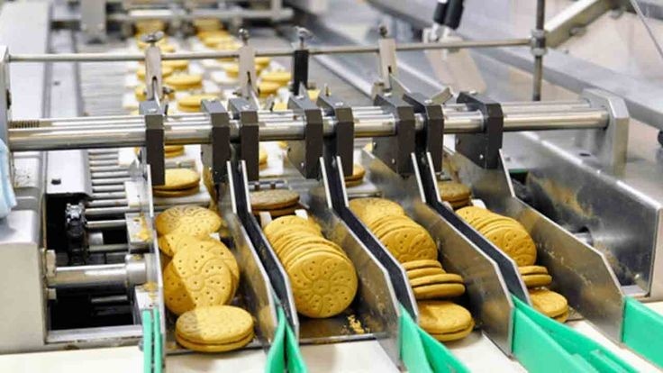 mesin pencacah untuk industri makanan